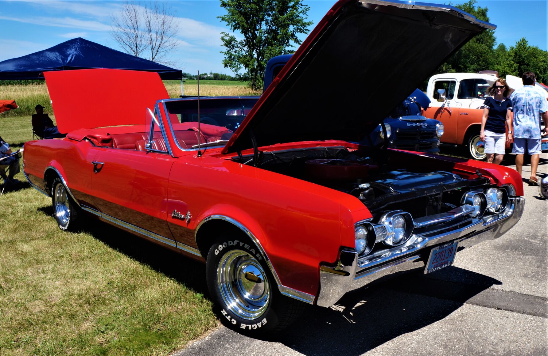 DSC04947 (2).JPG